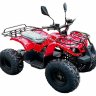 Детский электроквадроцикл GreenCamel Атакама T320 1000W R8 20Ah