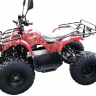 Детский электроквадроцикл GreenCamel Атакама T320 1000W R8 20Ah