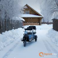 Электротрицикл Leopard Max Trike T3 1000W