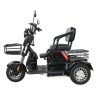 Электротрицикл WHITE SIBERIA SIBTRIKE 2000W