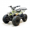 Квадроцикл GreenCamel Гоби K51 (36V 800W R7 Цепь) быстросъем, ножной тормоз