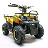 Квадроцикл GreenCamel Гоби K40 (36V 800W R6 Цепь) быстросъем