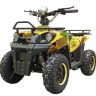 Квадроцикл GreenCamel Гоби K40 (36V 800W R6 Цепь) быстросъем
