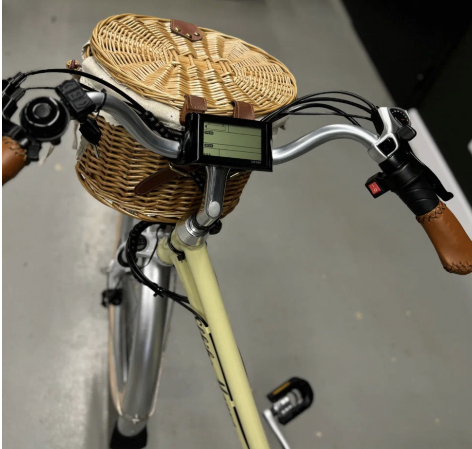 Электровелосипед Elbike MONRO (C12)