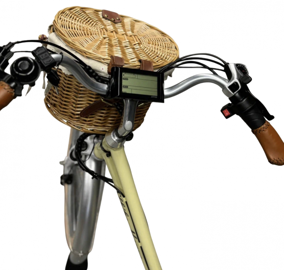 Электровелосипед Elbike MONRO (C12)