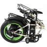 Электровелосипед Elbike TAIGA 3 Twix cam (C55)