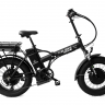 Электровелосипед Elbike TAIGA 3 Twix 2000 (C34)