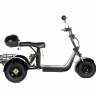 Электротрицикл GT X7 PRO TRIKE