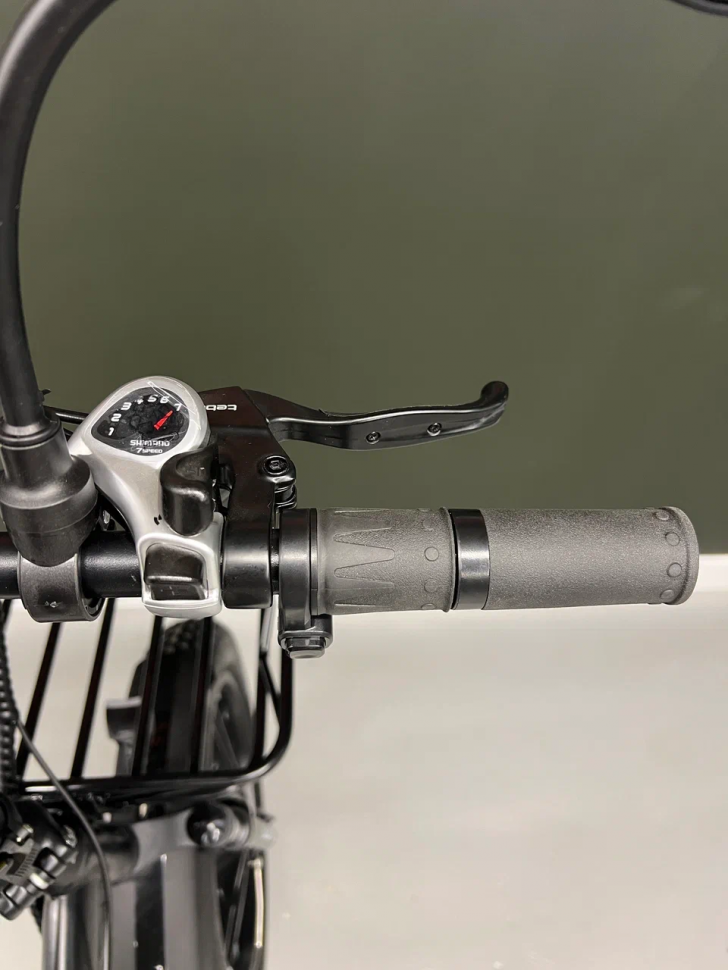 Электровелосипед Elbike TAIGA 1 VIP (C43)