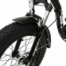Электровелосипед Elbike TAIGA 1 ELITE (C44)