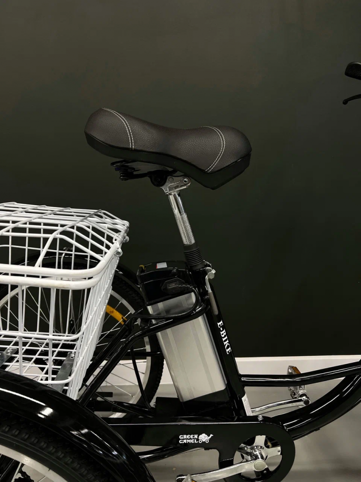 Электровелосипед GreenCamel Трайк-24 V2 (R24 250W 48V12Ah)